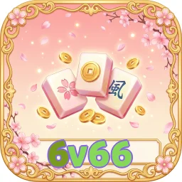 6v66